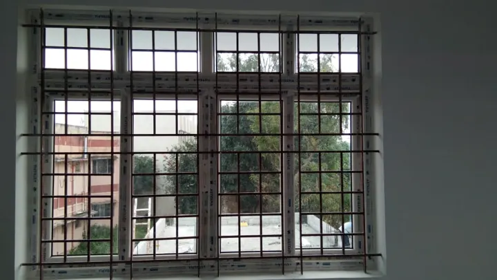 Ramanagar — Astrapia project photograph 298