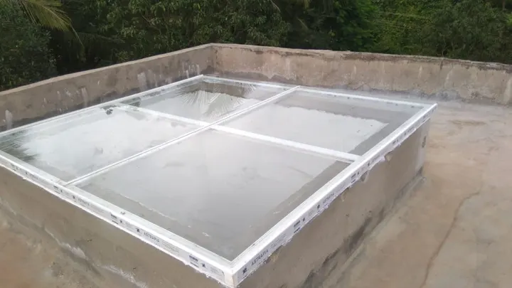 Skylight (Goa) 20 — Astrapia project photograph 318